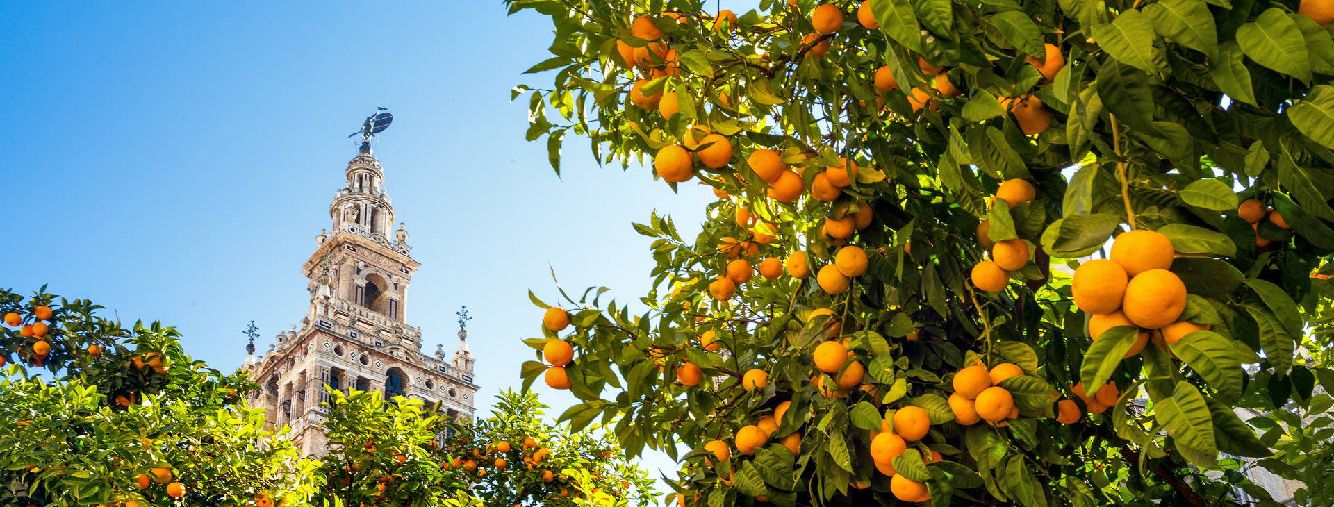 Ubytování HXA Obrázok2