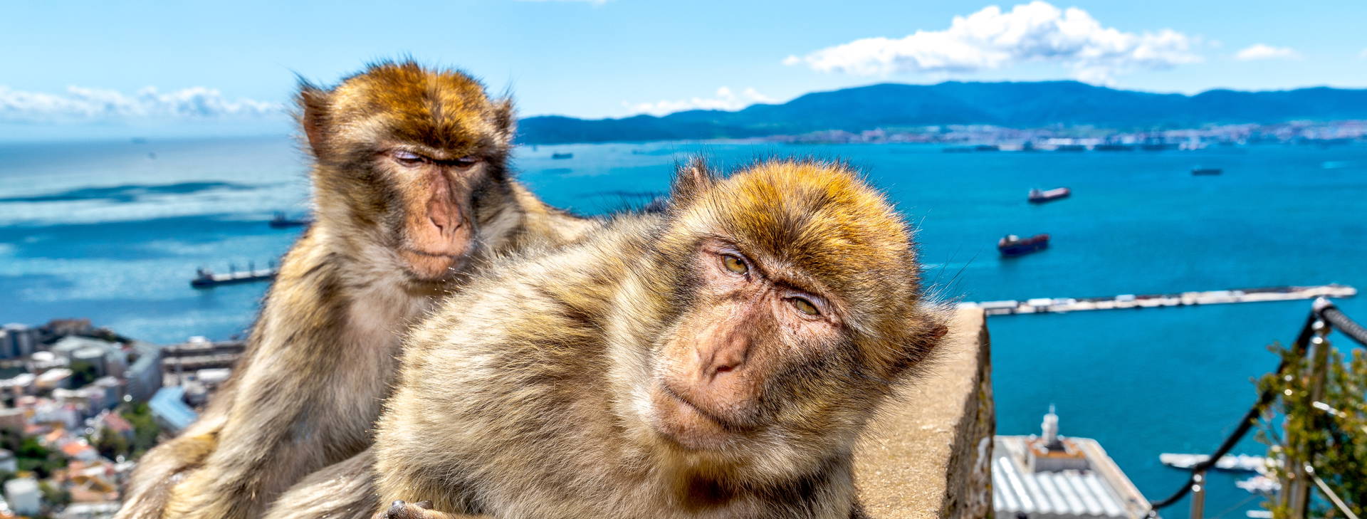 Ubytování HXA Obrázok5