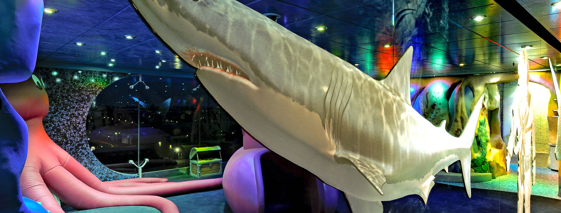 Ubytování v GIS (MSC Magnifica) Obrázok22