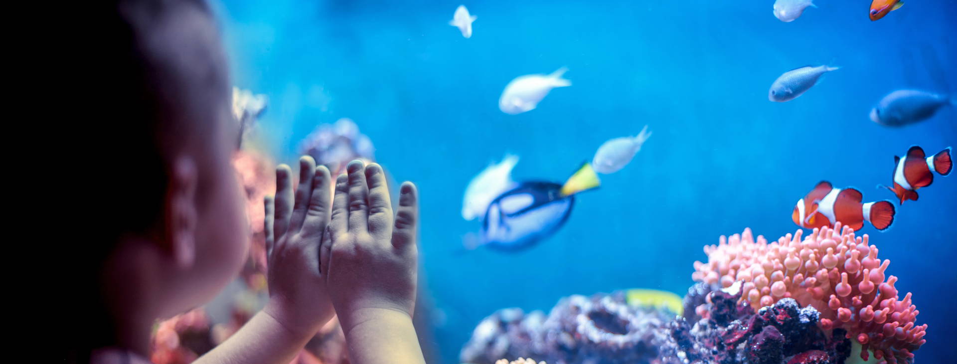 Ubytování HAF Obrázok14
