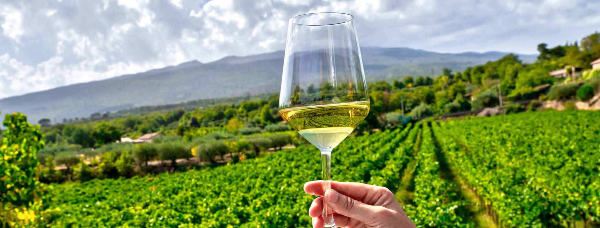 Ubytování STU Obrázok17