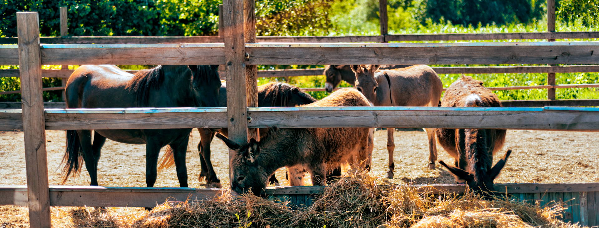 Ubytování CYG Obrázok7