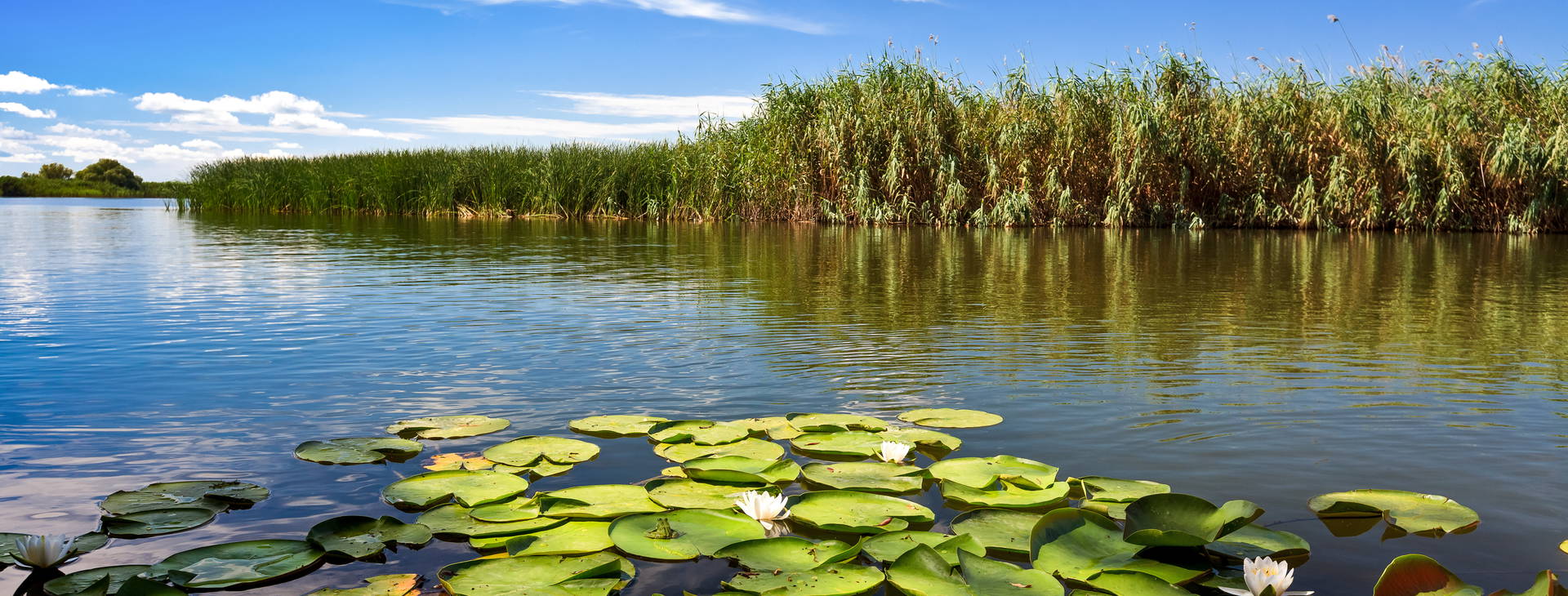 Ubytování ROA Obrázok24