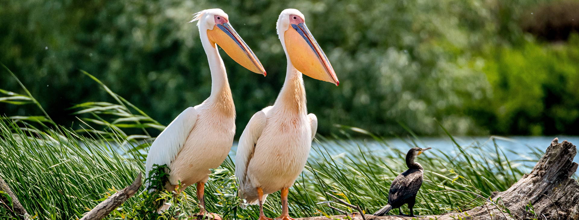 Ubytování ROA Obrázok4