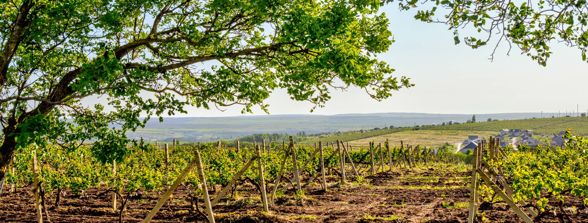 Ubytování ROA Obrázok9