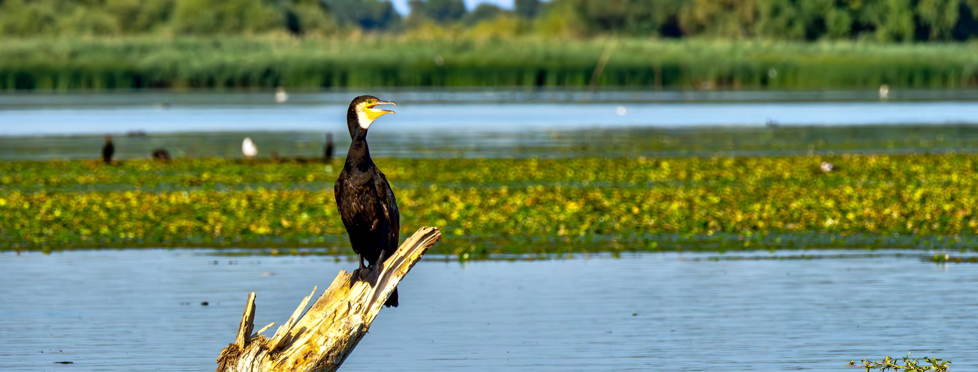 Ubytování ROA Obrázok11