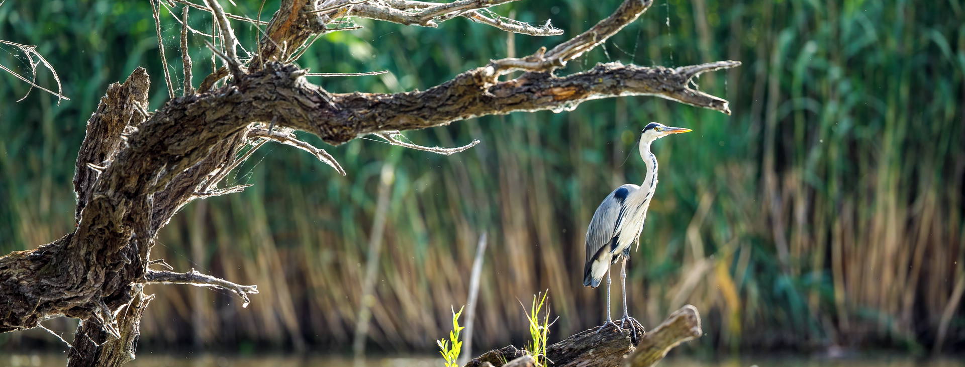 Ubytování ROA Obrázok15