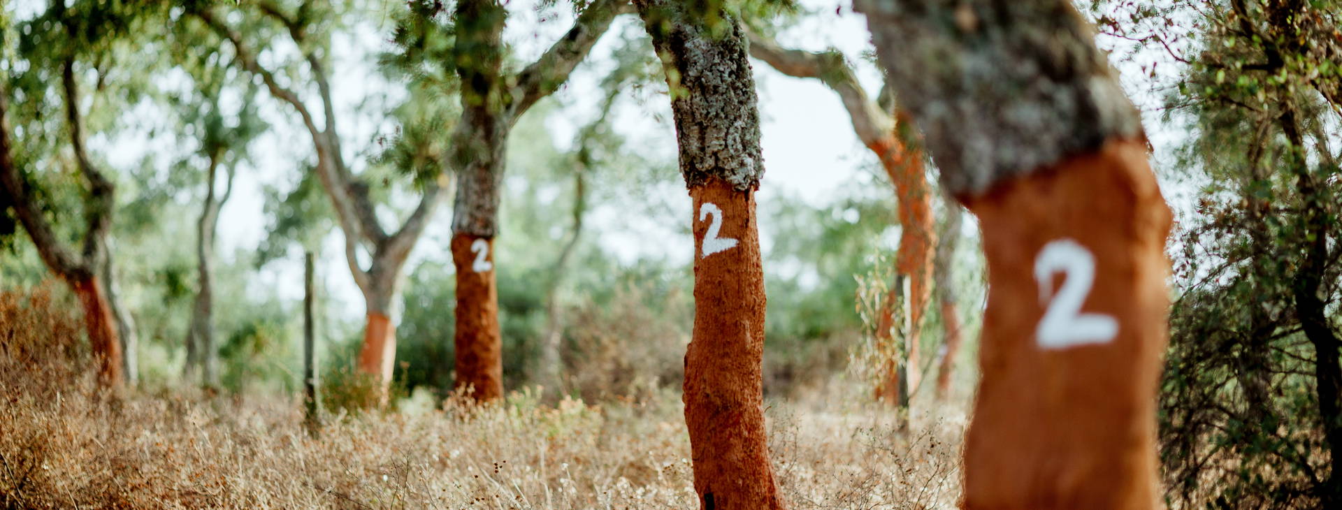 Ubytování POR Obrázok18