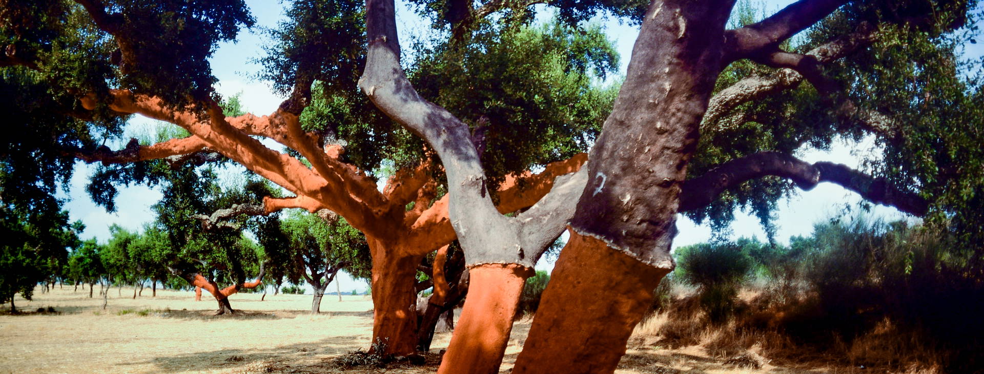 Ubytování POR Obrázok8