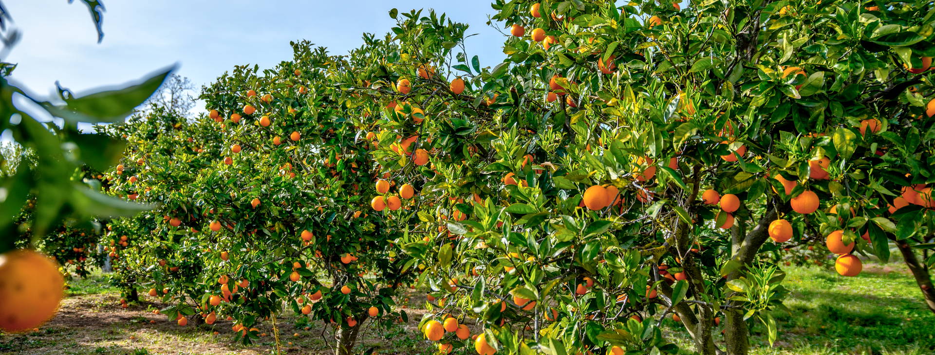 Ubytování EKA Obrázok21