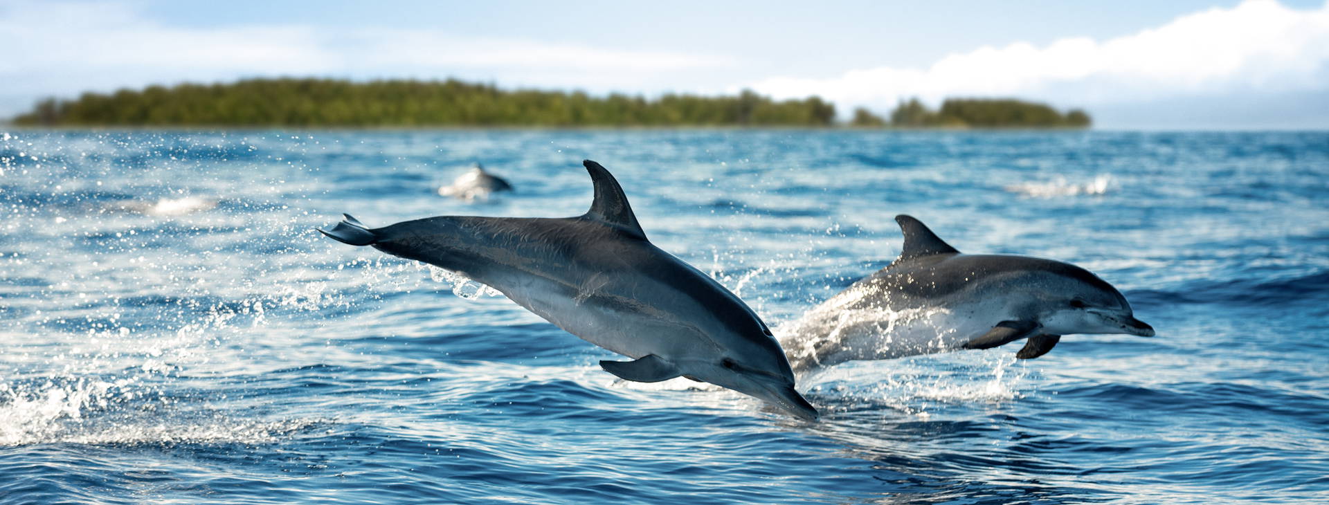 Ubytování WSP Obrázok0