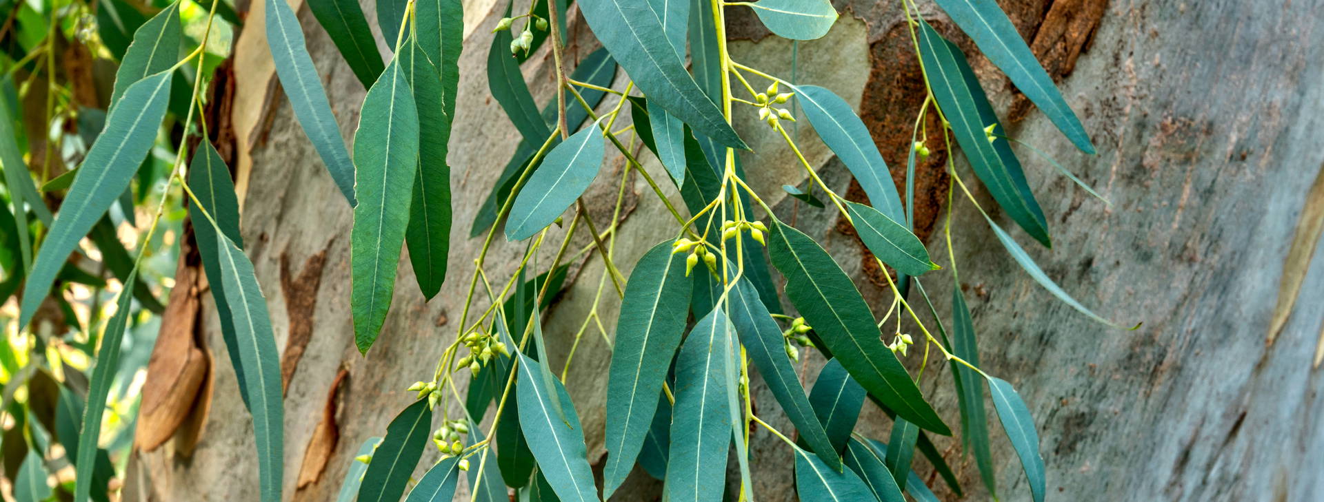 Ubytování GKO Obrázok28