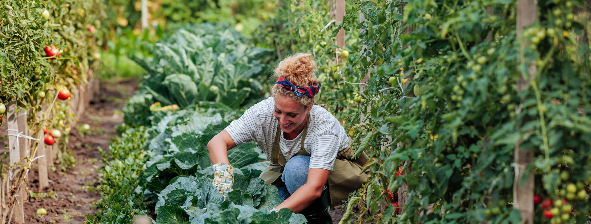 Ubytování GKO Obrázok30