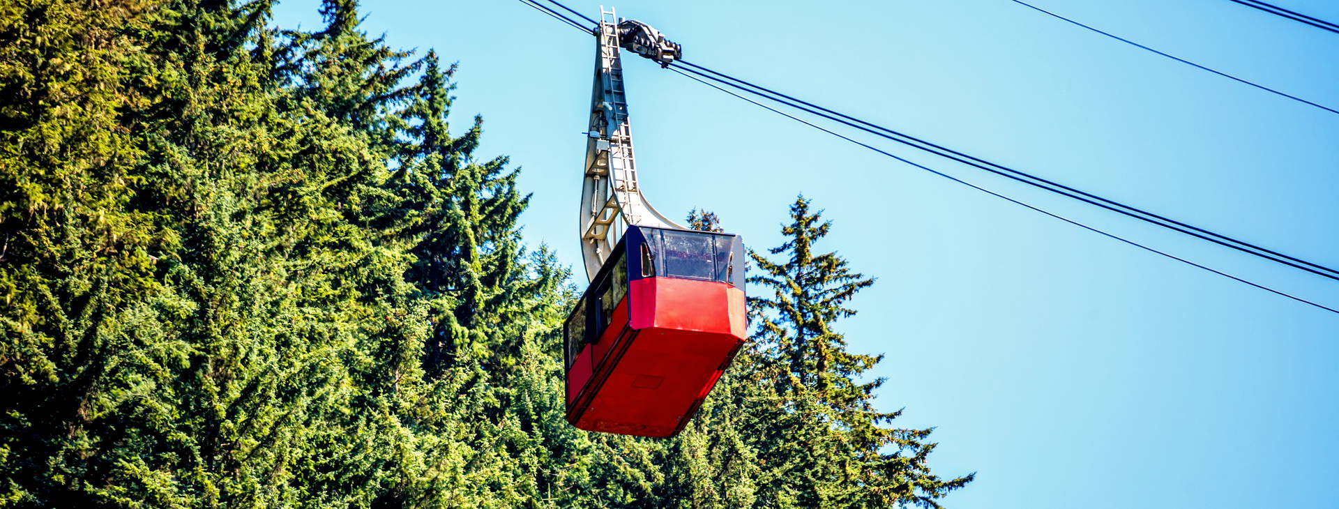 Ubytování ALT (Norwegian Bliss) Obrázok13