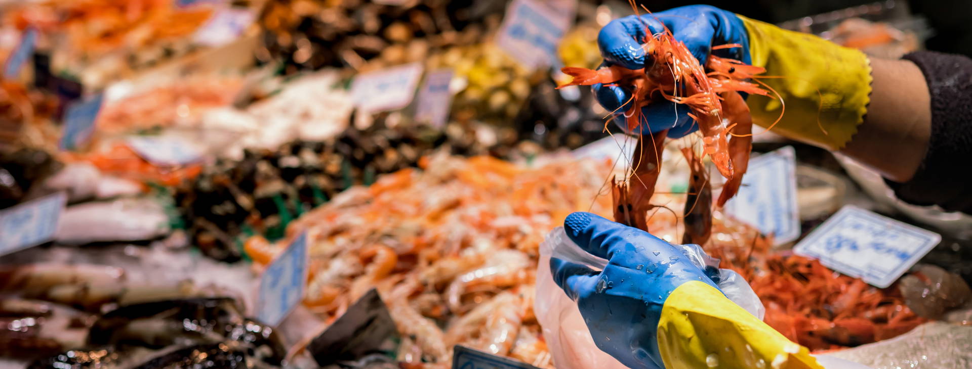 Ubytování HAJ Obrázok7