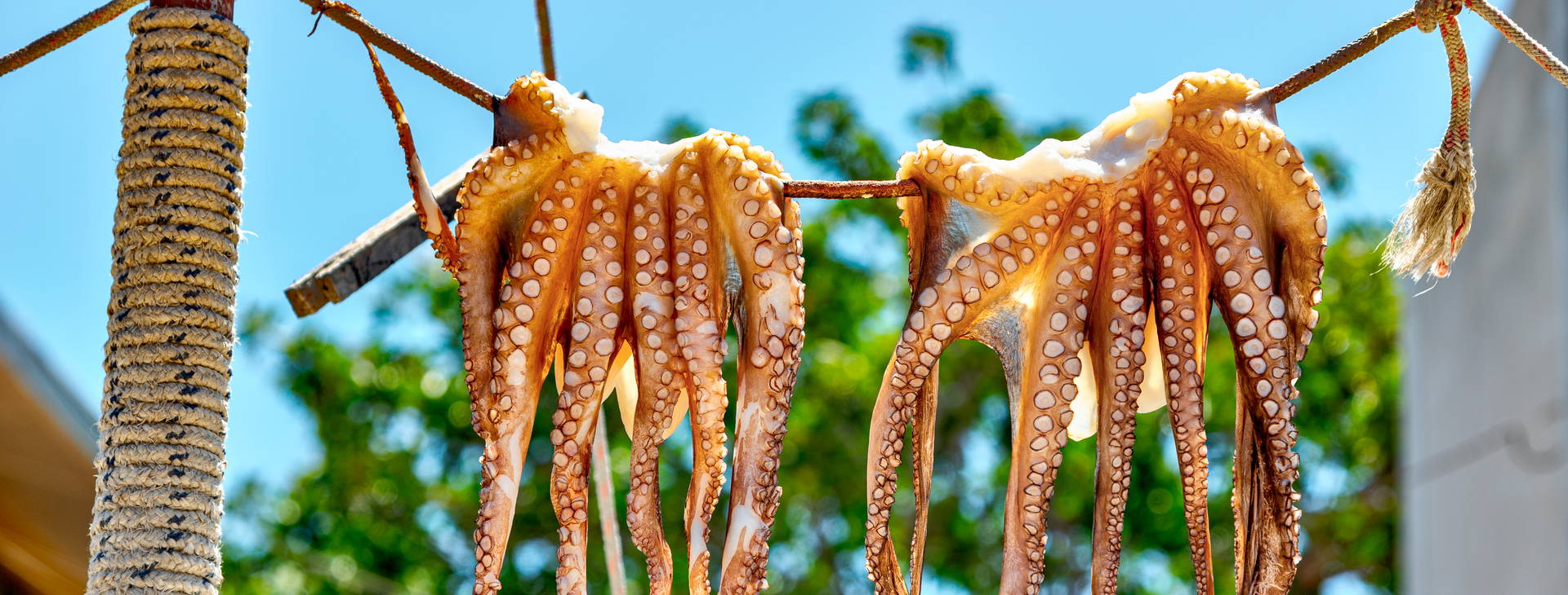 ubytování RDP Obrázok27