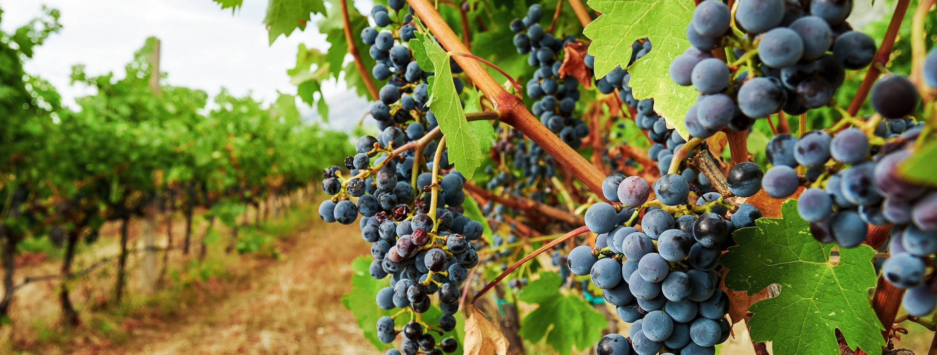 ubytování RDP Obrázok9