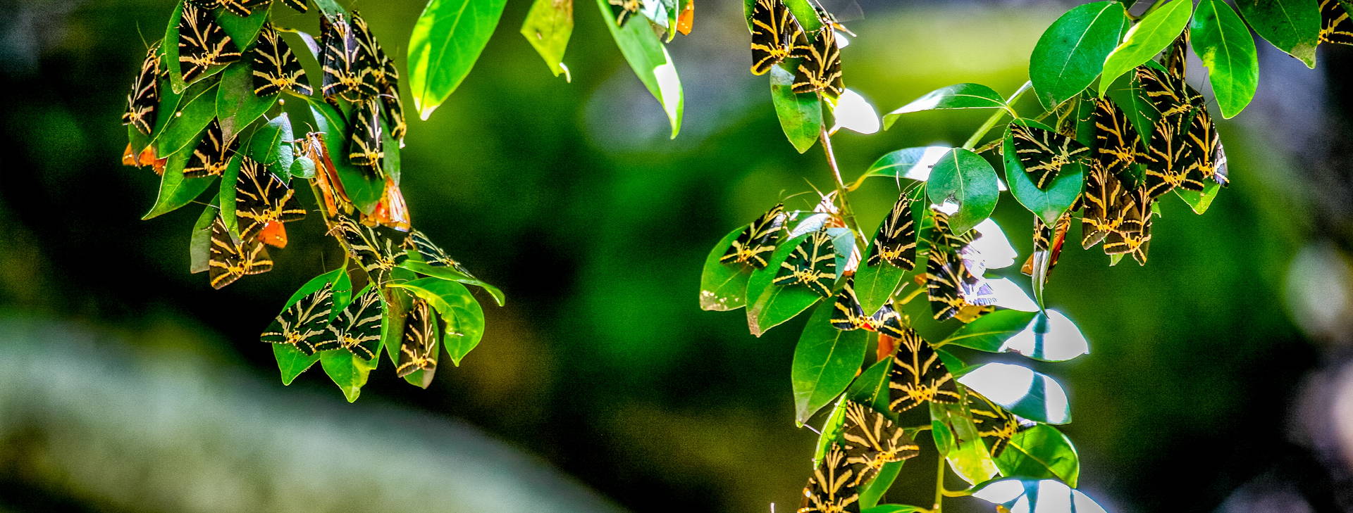 ubytování RDP Obrázok13