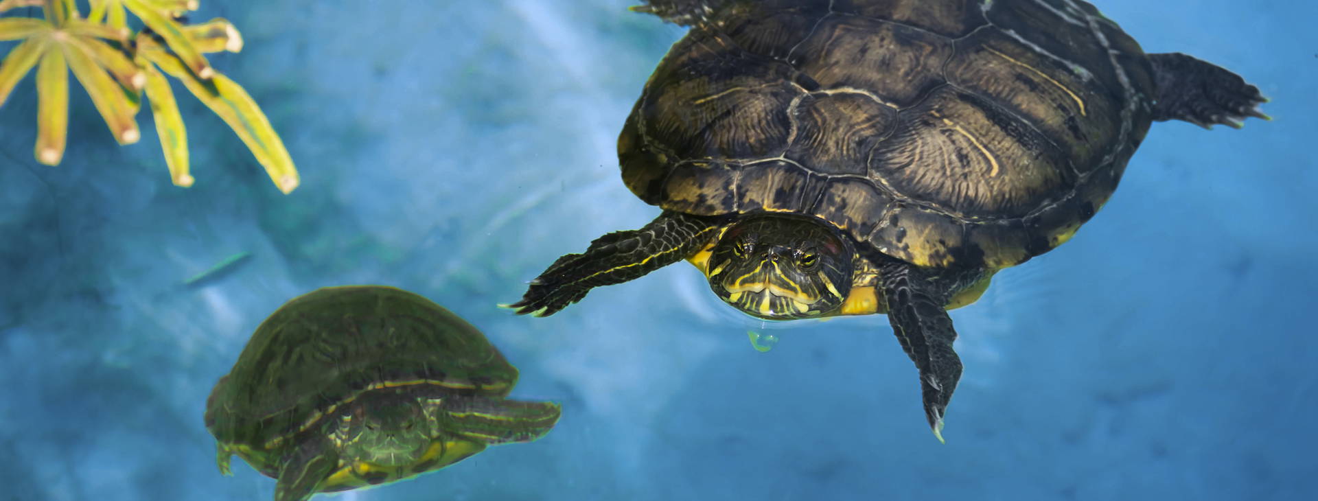 Ubytování KHF Obrázok2