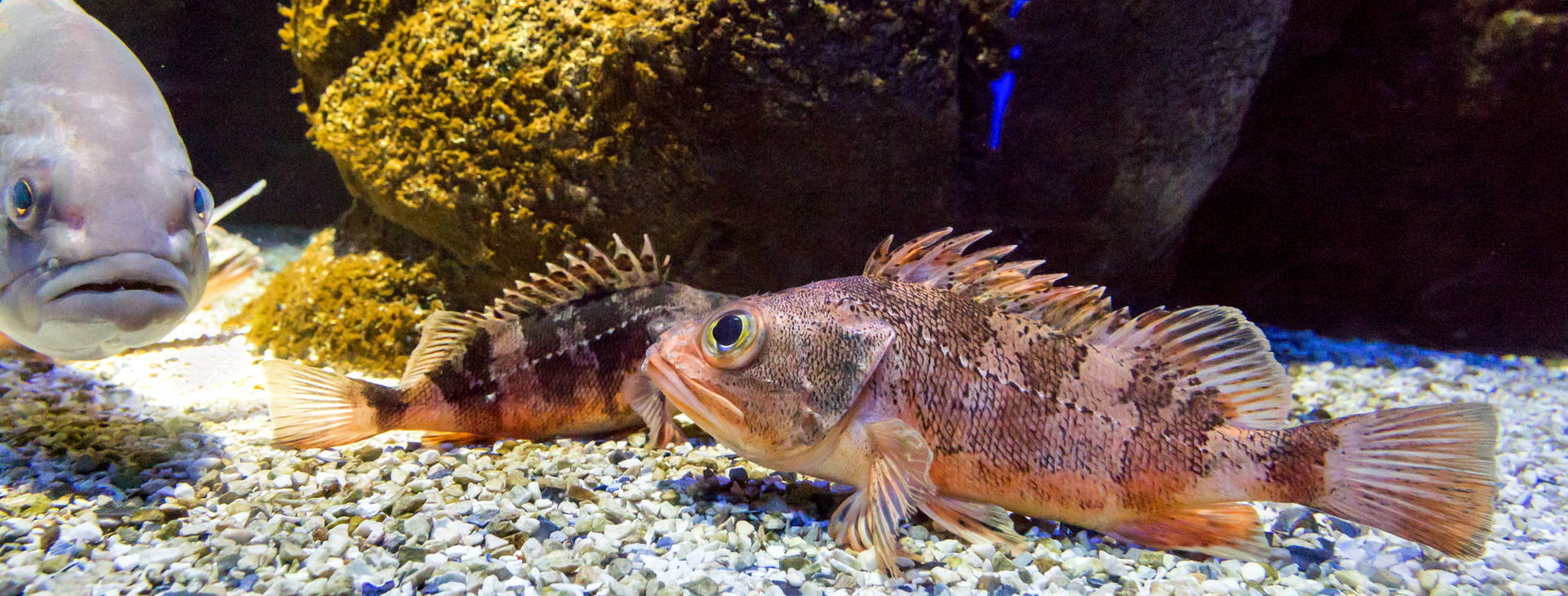 Ubytování KHF Obrázok6