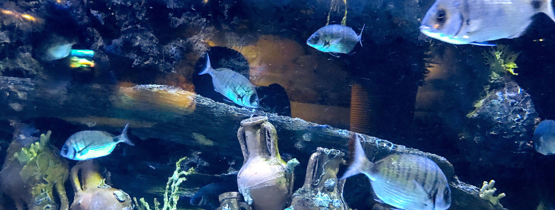 Ubytování KHF Obrázok12