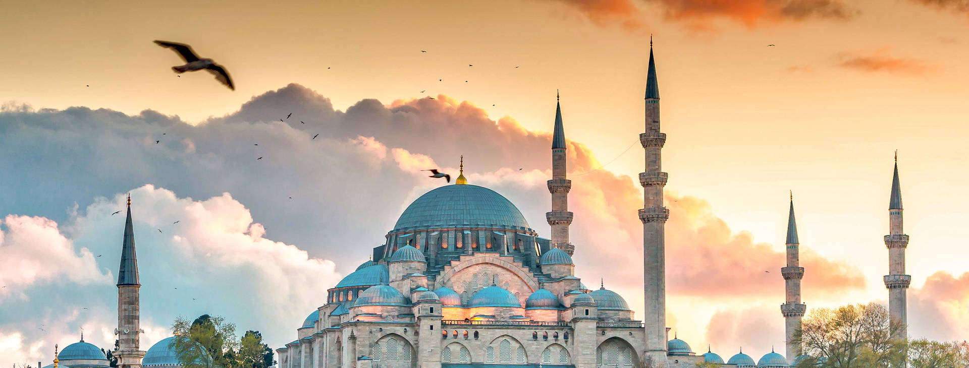 Ubytování TTX Obrázok0