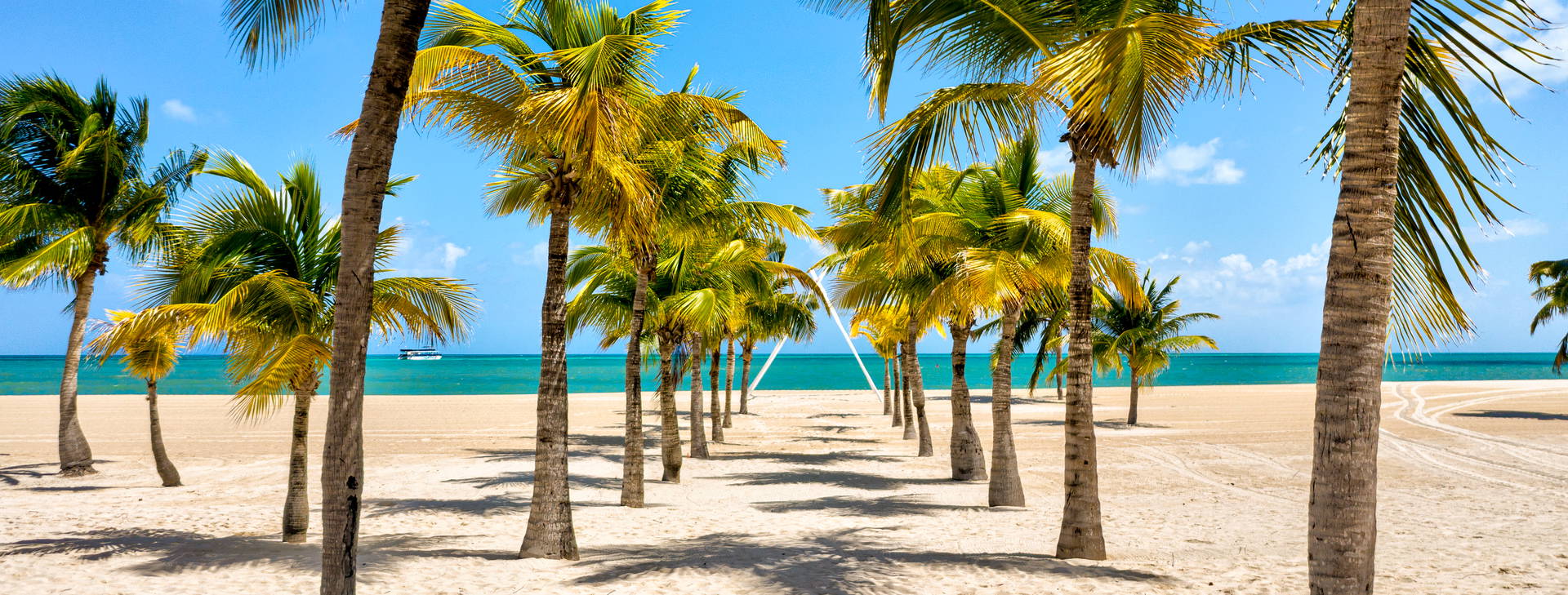 Ubytování RCG (MSC Seascape) Obrázok10