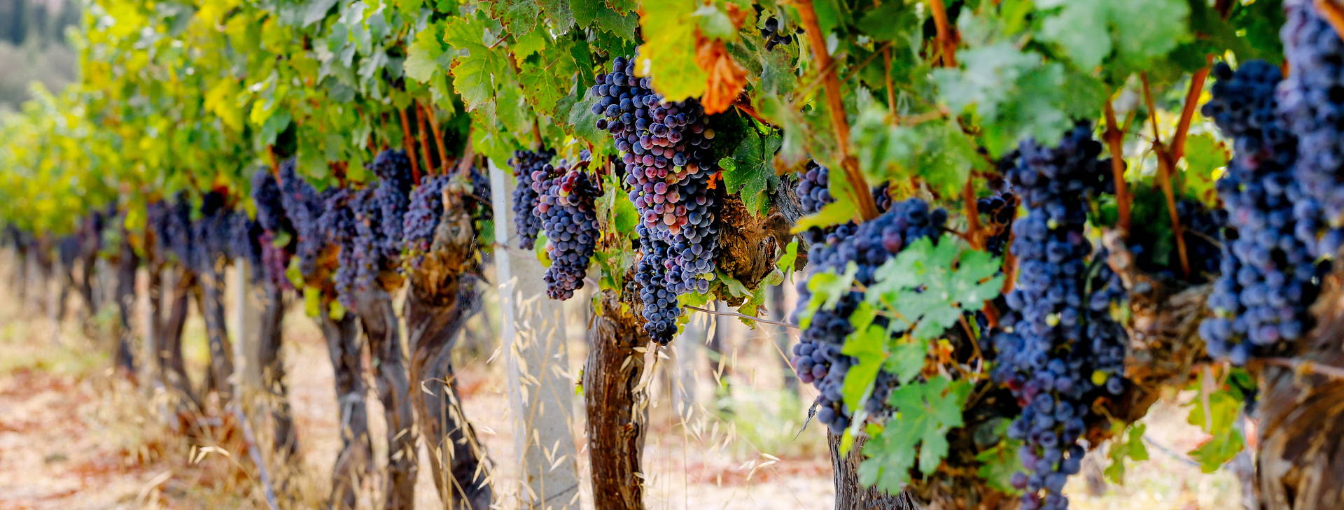 Ubytování TEK Obrázok3