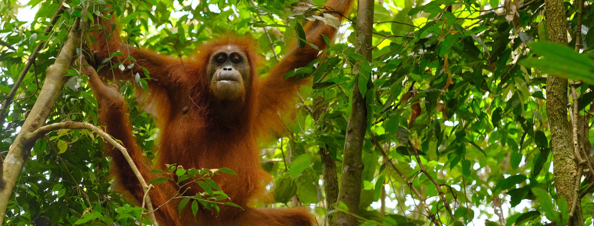 ﻿Ubytování SJB Obrázok0