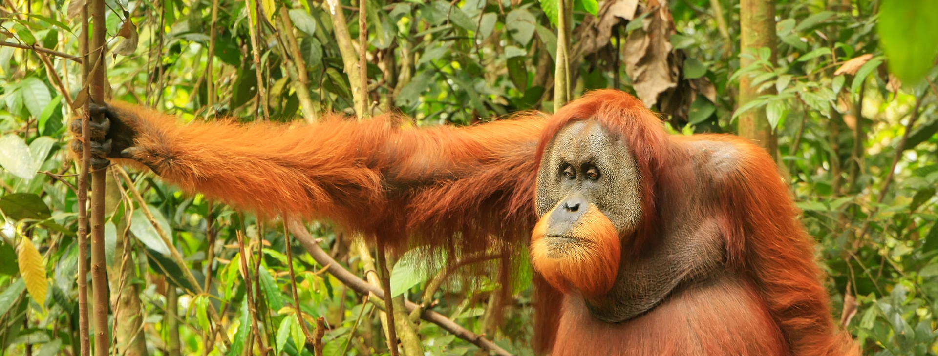 ﻿Ubytování SJB Obrázok6