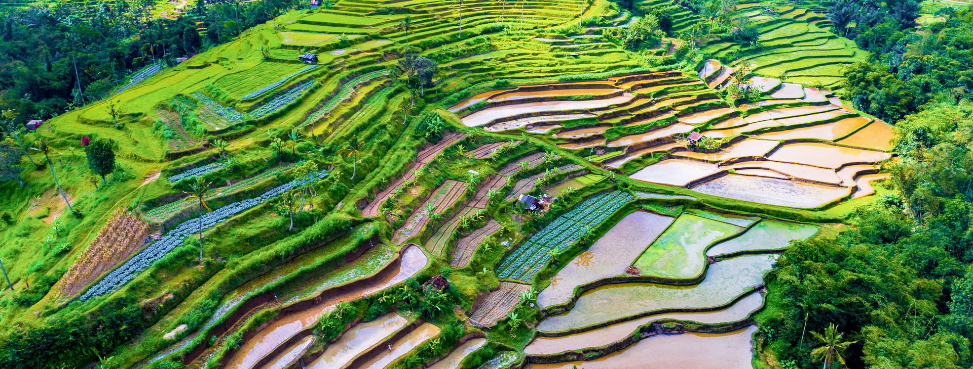 ﻿Ubytování JDX Obrázok12