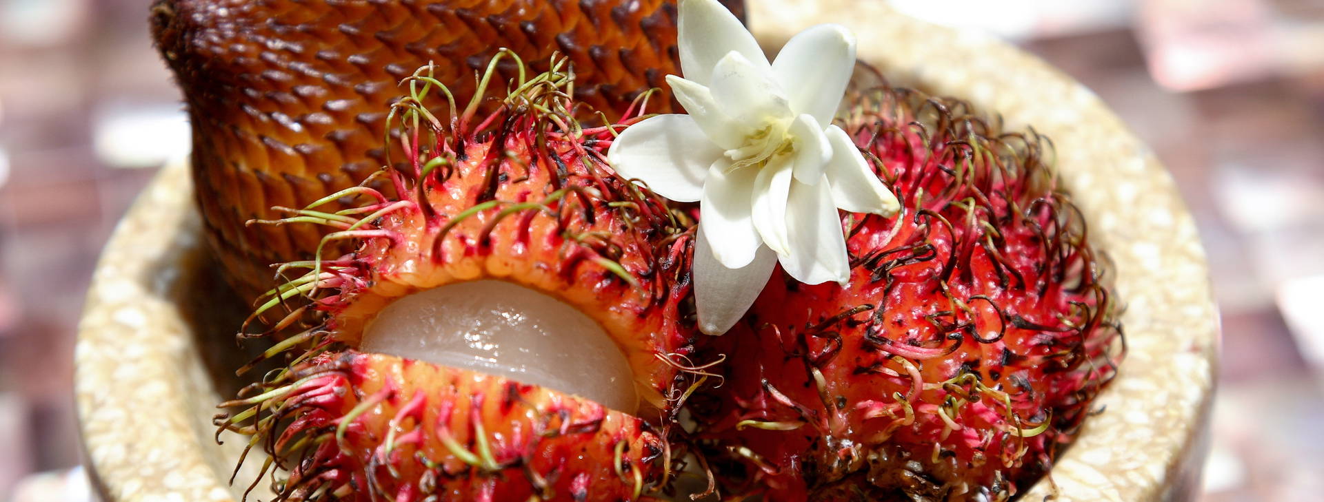 ﻿Ubytování JDX Obrázok20