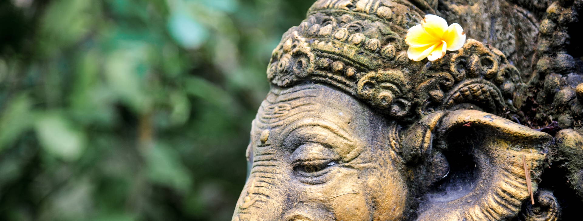 ﻿Ubytování JDX Obrázok28