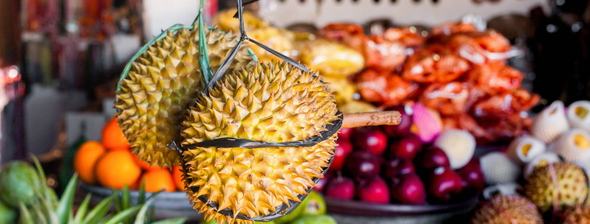 ﻿Ubytování JDX Obrázok29