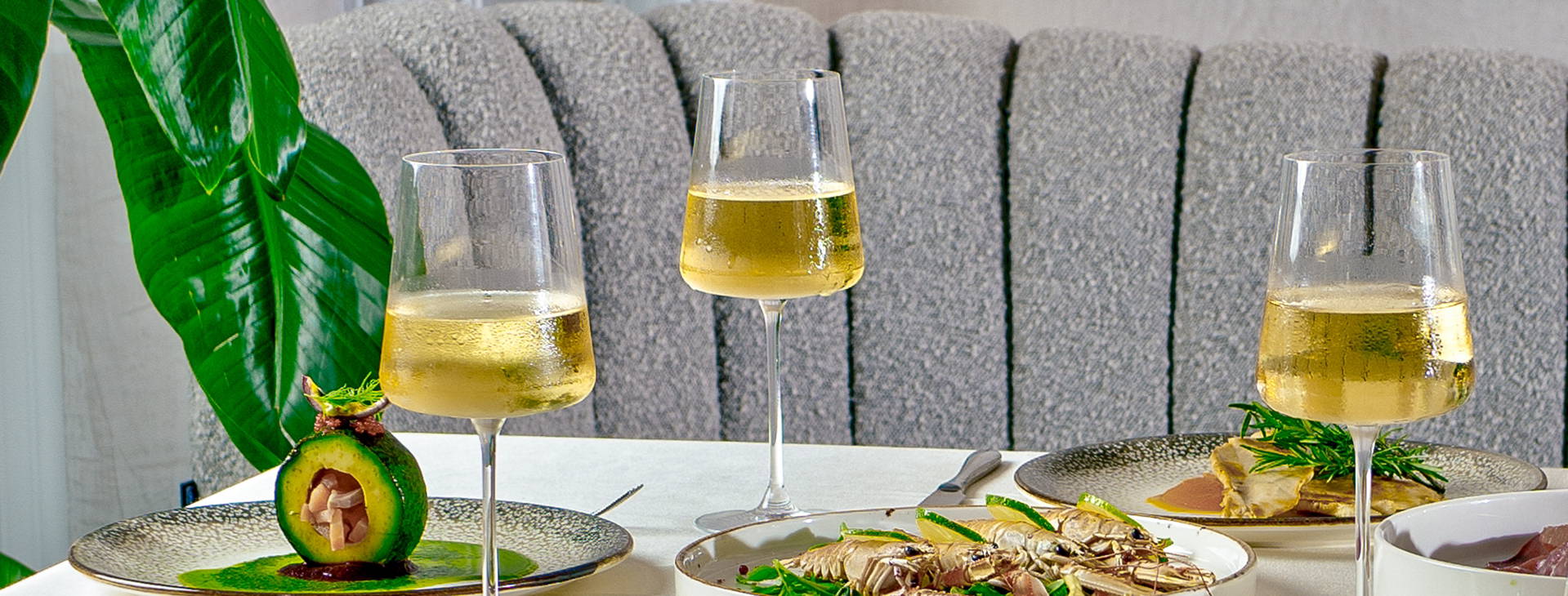 Bonita Classic Obrázok19