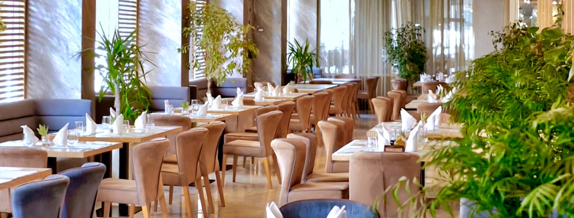 Bonita Classic Obrázok23