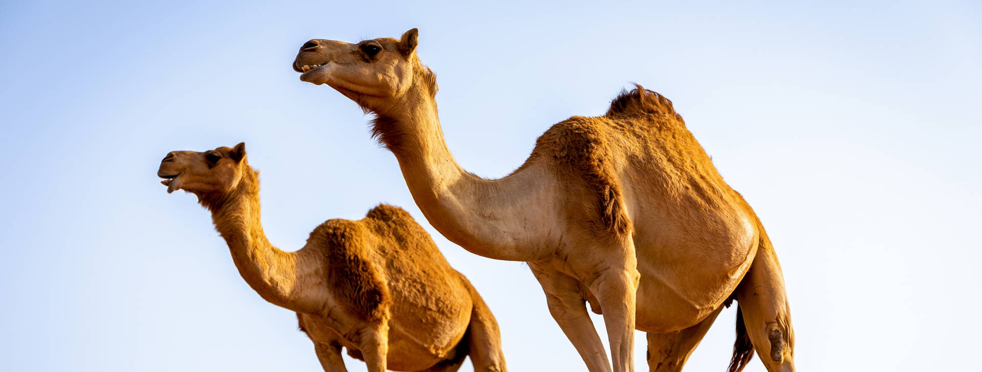 Ubytování ZIK Obrázok8