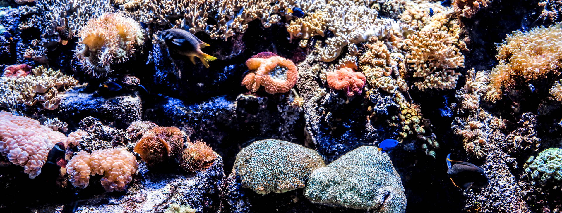 Ubytování ZIK Obrázok10