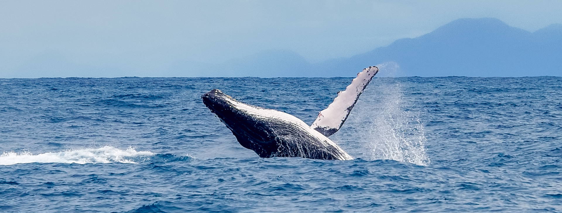 Ubytování BSW Obrázok6