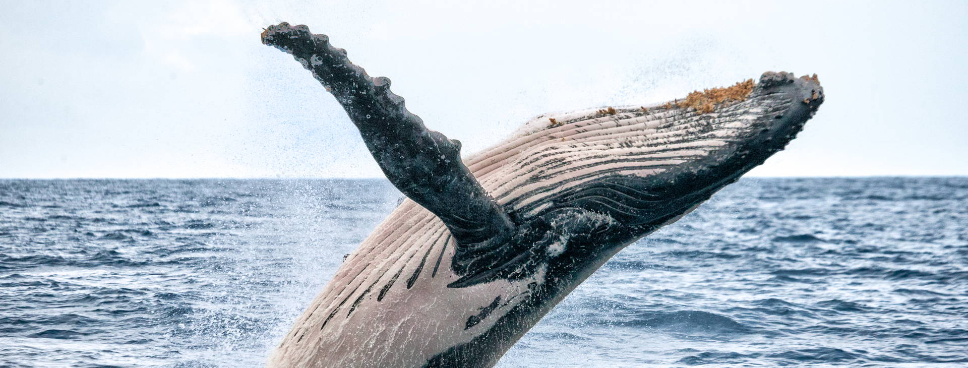 Ubytování BSW Obrázok10