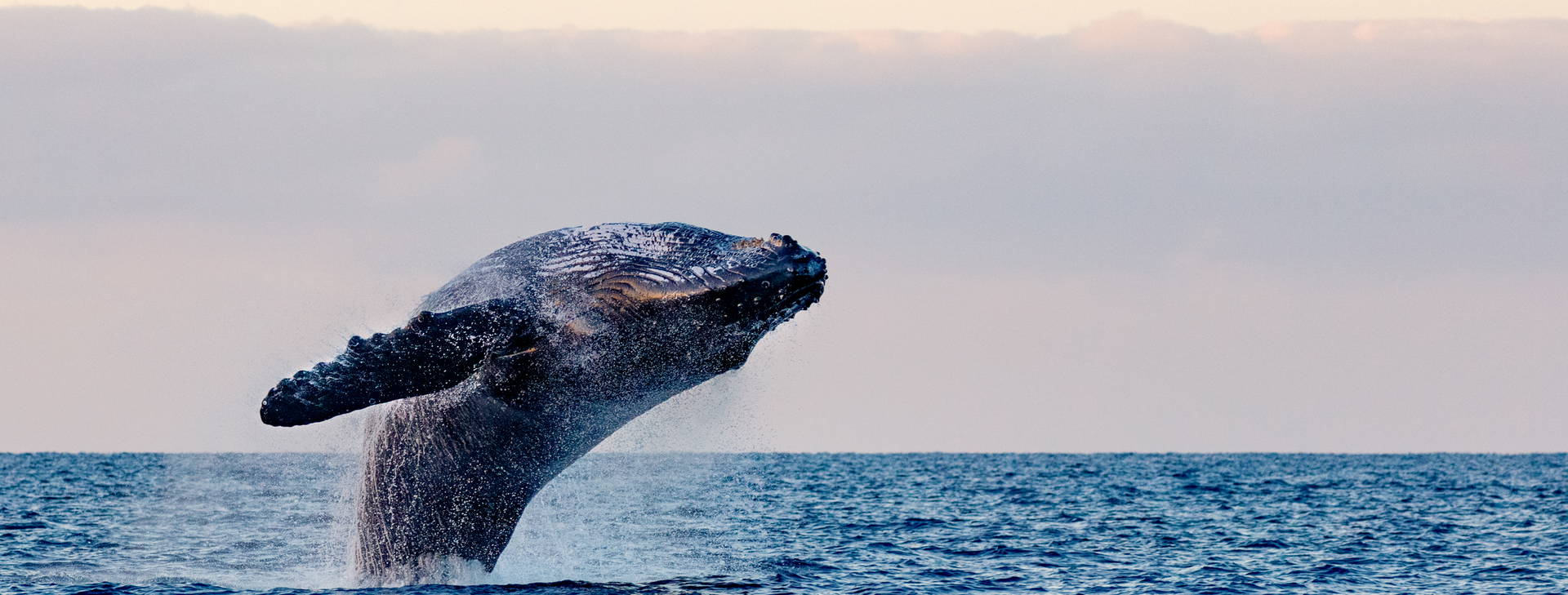 Ubytování BSW Obrázok0