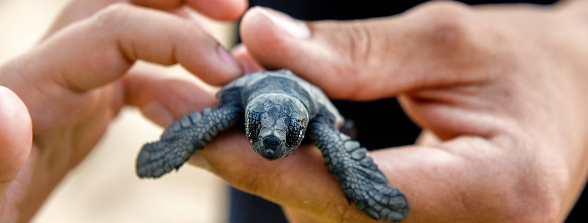 Ubytování BSW Obrázok14