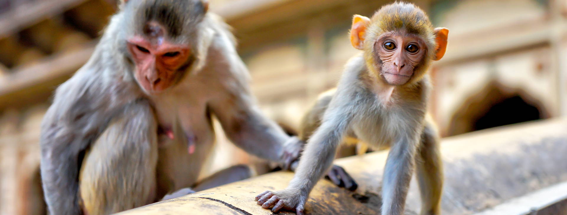 Ubytování IDU Obrázok16