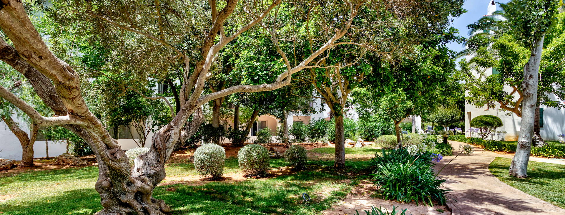 Sol Falco Menorca Obrázok14