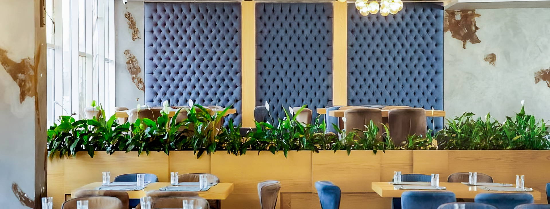 Bonita Classic Obrázok30