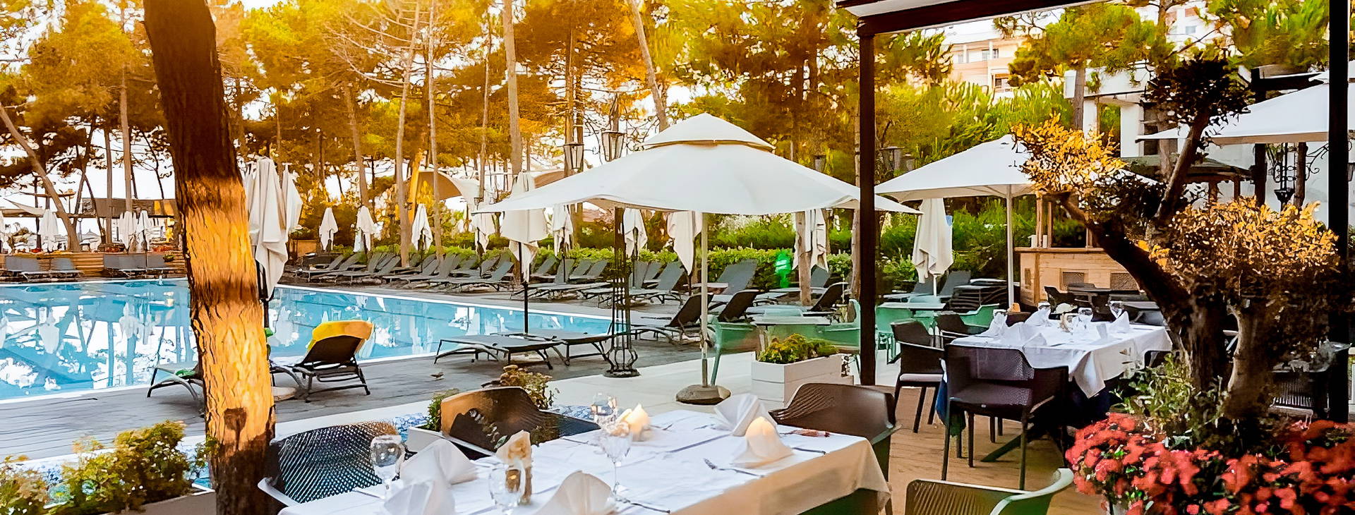 Bonita Classic Obrázok4