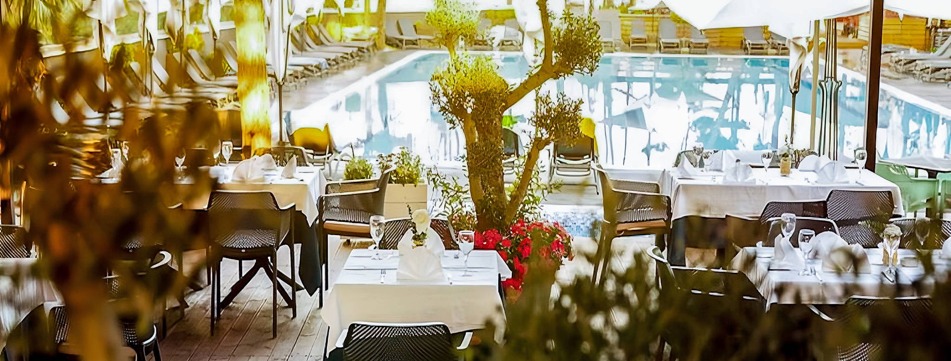 Bonita Classic Obrázok10