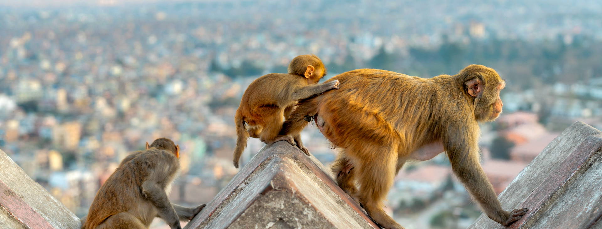 Ubytování INX Obrázok6