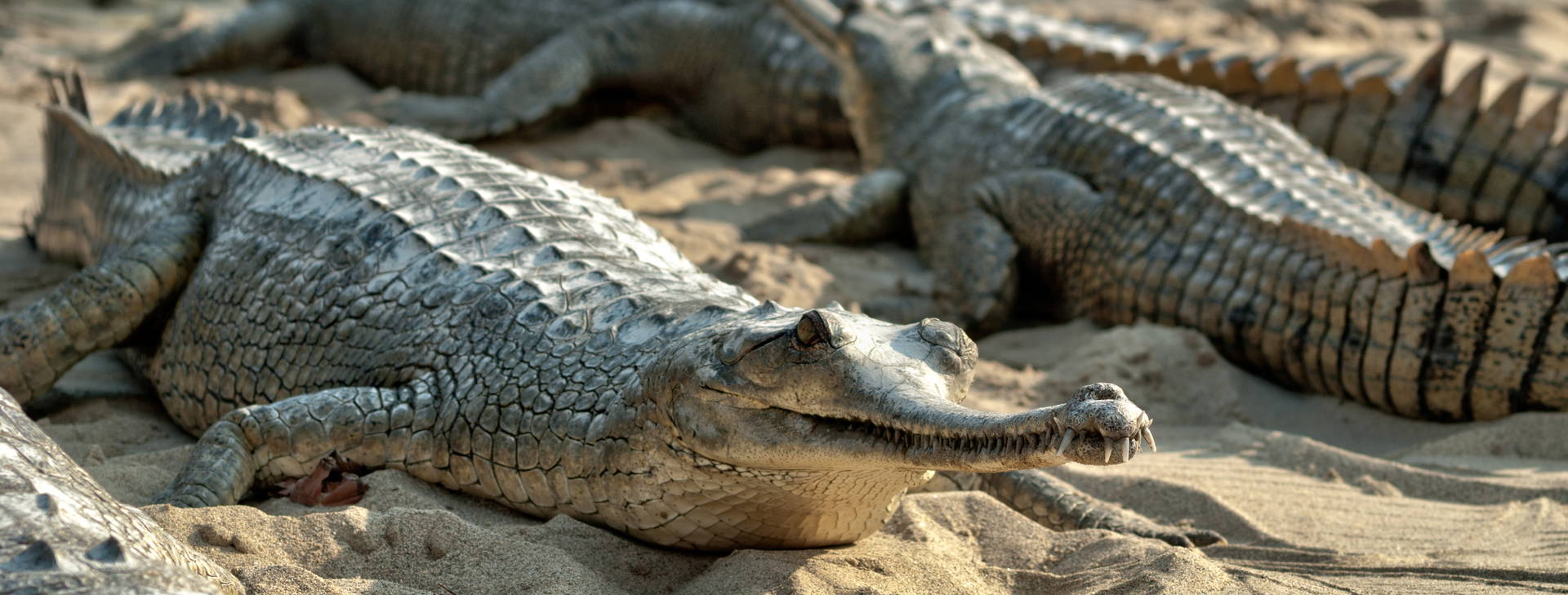 Ubytování INX Obrázok19