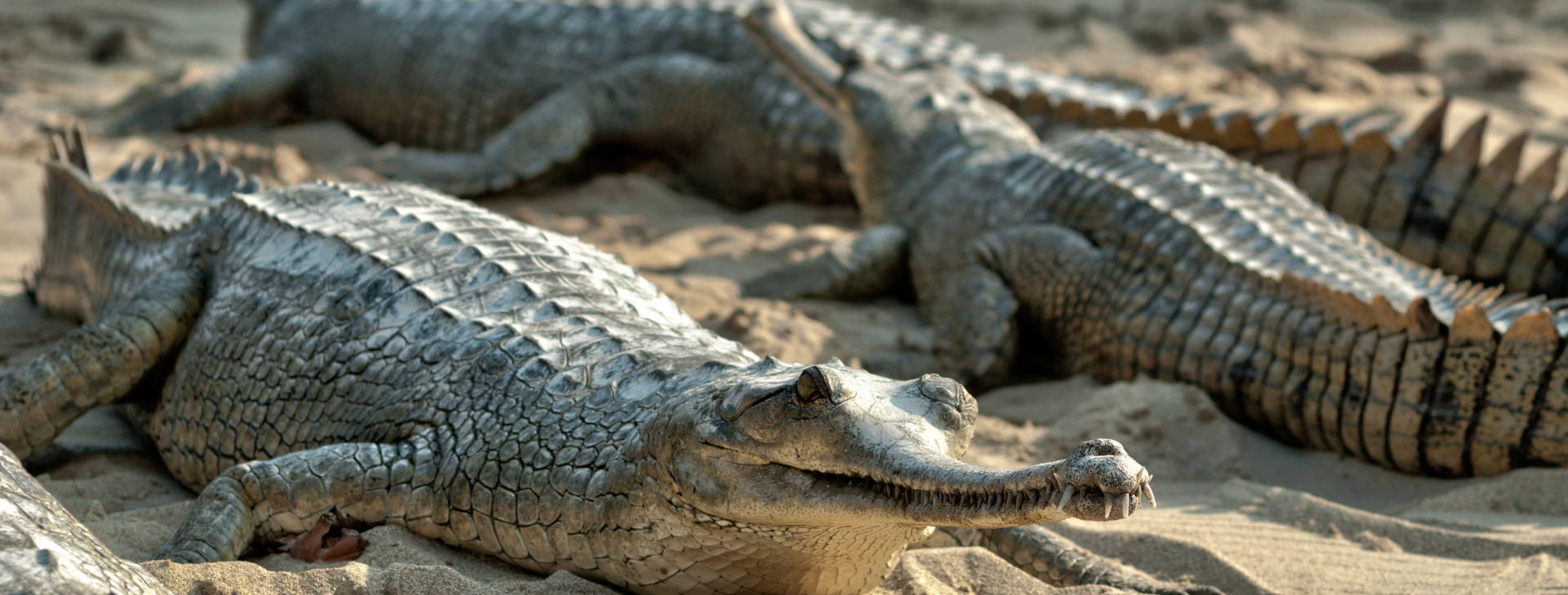 Ubytování INN Obrázok17